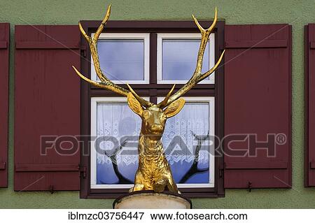 "Deer sculpture, early 19th century, in front of a window at the """"Goldener Hirsch"""" inn or Golden Stag, Dinkelsbuhl, Middle Franconia, Bavaria, Germany, Europe" View Large Photo Image Stock Photo - "Deer sculpture, early 19th century, in front of a window at the """"Goldener Hirsch"""" inn or Golden Stag, Dinkelsbuhl, Middle Franconia, Bavaria, Germany, Europe". Fotosearch