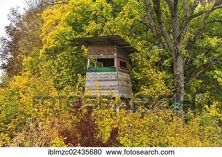 "Deer stand on the edge of a forest glade in autumn, Enzenreuth, Franconian Switzerland, Middle Franconia, Bavaria, Germany, Europe, PublicGround, Europe" View Large Photo Image Stock Image - "Deer stand on the edge of a forest glade in autumn, Enzenreuth, Franconian Switzerland, Middle Franconia, Bavaria, Germany, Europe, PublicGround, Europe". Fotosearch