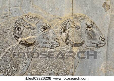 "Delegation bas-relief, Apadana Palace, ancient city of Persepolis, UNESCO World Heritage Site, near Shiraz, Fars Province, Iran, Asia" View Large Photo Image Stock Photograph - "Delegation bas-relief, Apadana Palace, ancient city of Persepolis, UNESCO World Heritage Site, near Shiraz, Fars Province, Iran, Asia". Fotosearch
