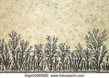 "Dendrites in slabs of Solnhofen slate, Germany, Europe" View Large Photo Image Stock Image - "Dendrites in slabs of Solnhofen slate, Germany, Europe". Fotosearch