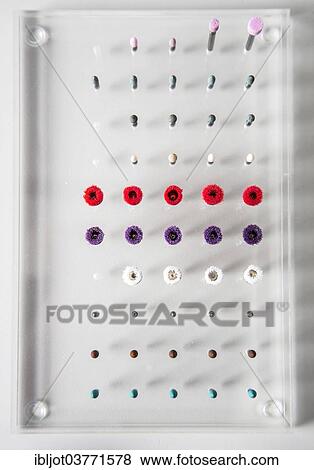 Stock Photo - "Dental instruments, grinding attachments". Fotosearch