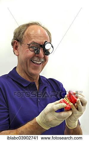 Stock Image - Dentist wearing a headlamp and holding a dentition model. Fotosearch