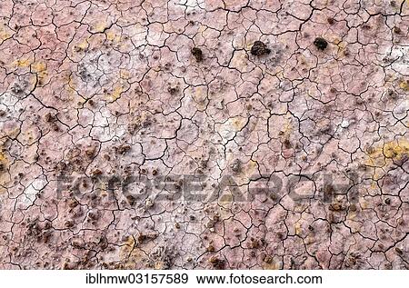 "Deposits of sand and clay coloured by different minerals, Tepees area, Petrified Forest National Park, Painted Desert, Arizona, United States, North America" View Large Photo Image Stock Photo - "Deposits of sand and clay coloured by different minerals, Tepees area, Petrified Forest National Park, Painted Desert, Arizona, United States, North America". Fotosearch