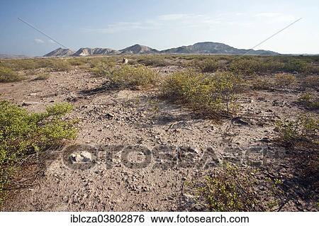 "Desert landscape, Dhofar, Oman, Asia" View Large Photo Image Stock Photograph - "Desert landscape, Dhofar, Oman, Asia". Fotosearch