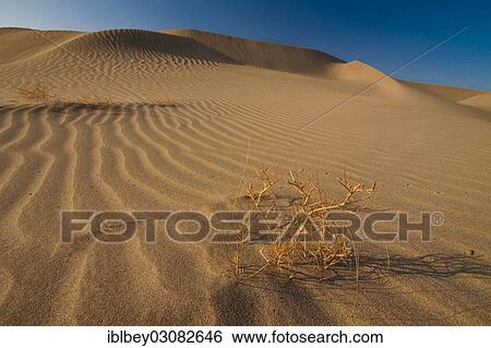 Stock Photograph - "Desert landscape in the Danakil Depression, Danakil-Senke, Wollo, Ethiopia, Africa". Fotosearch