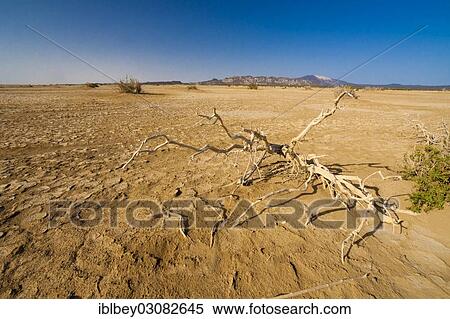 "Desert landscape in the Danakil Depression, Danakil-Senke, Wollo, Ethiopia, Africa" View Large Photo Image Stock Photography - "Desert landscape in the Danakil Depression, Danakil-Senke, Wollo, Ethiopia, Africa". Fotosearch