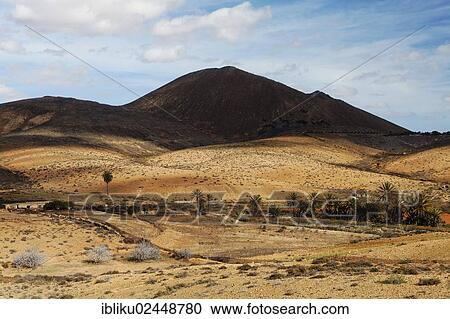 Stock Image - "Desert landscape in Valles de Ortega, Fuerteventura, Canary Islands, Spain, Europe". Fotosearch
