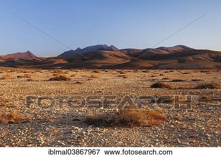 "Desert landscape, Istmo de la Pared, Fuerteventura, Canary Islands, Spain, Europe" View Large Photo Image Stock Photo - "Desert landscape, Istmo de la Pared, Fuerteventura, Canary Islands, Spain, Europe". Fotosearch
