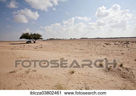 Stock Image - "Desert landscape, Oman, Asia". Fotosearch