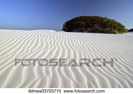 Stock Photography - "Desert of Lencois Maranhenses, Lencois Maranhenses, Barreirinhas, Maranhao, Brazil, South America". Fotosearch