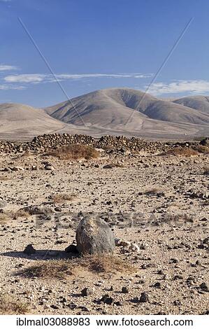 Stock Image - "Desertlike landscape, El Cotillo, Fuerteventura, Canary Islands, Spain, Europe". Fotosearch