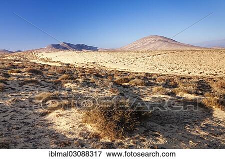 "Desertlike landscape, Risco del Paso, Fuerteventura, Canary Islands, Spain, Europe" View Large Photo Image Stock Photo - "Desertlike landscape, Risco del Paso, Fuerteventura, Canary Islands, Spain, Europe". Fotosearch