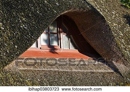 "Detail, dormer in a thatched roof, Ahrenshoop, Fischland-Darss-Zingst, Mecklenburg-Vorpommern, Germany, Europe" View Large Photo Image Stock Image - "Detail, dormer in a thatched roof, Ahrenshoop, Fischland-Darss-Zingst, Mecklenburg-Vorpommern, Germany, Europe". Fotosearch
