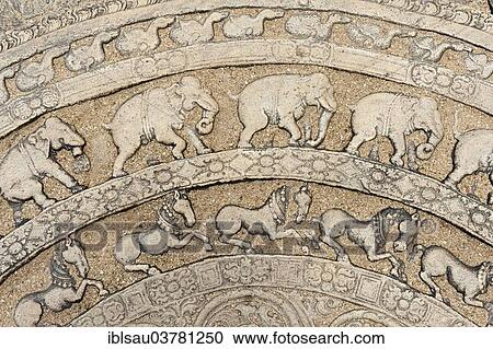 "Detail, historic stone-relief, moonstone with animal representations, elephants, horses, stone on a flight of stairs, Council Hall of King Parakrama Bahu I, inner city district, Polonnaruwa, Sri Lanka, Asia" View Large Photo Image Stock Image - "Detail, historic stone-relief, moonstone with animal representations, elephants, horses, stone on a flight of stairs, Council Hall of King Parakrama Bahu I, inner city district, Polonnaruwa, Sri Lanka, Asia". Fotosearch