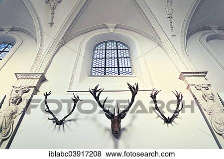 "Detail of the antler collection of Count Arco-Zinneberg in the German Hunting and Fishing Museum, Munich, Upper Bavaria, Bavaria, Germany, Europe" View Large Photo Image Stock Photo - "Detail of the antler collection of Count Arco-Zinneberg in the German Hunting and Fishing Museum, Munich, Upper Bavaria, Bavaria, Germany, Europe". Fotosearch