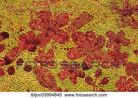 "Detail of the world's greatest apple picture, 108 square meters, made from 30, 000 apples, Kivik, Scania, Sweden, Europe" View Large Photo Image Stock Photography - "Detail of the world's greatest apple picture, 108 square meters, made from 30, 000 apples, Kivik, Scania, Sweden, Europe". Fotosearch