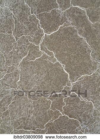 "Detailed view of salt deposits on the salt marshes, central Death Valley, Death Valley National Park, California, USA" View Large Photo Image Stock Photo - "Detailed view of salt deposits on the salt marshes, central Death Valley, Death Valley National Park, California, USA". Fotosearch