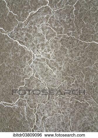 "Detailed view of salt deposits on the salt marshes, central Death Valley, Death Valley National Park, California, USA" View Large Photo Image Stock Photograph - "Detailed view of salt deposits on the salt marshes, central Death Valley, Death Valley National Park, California, USA". Fotosearch