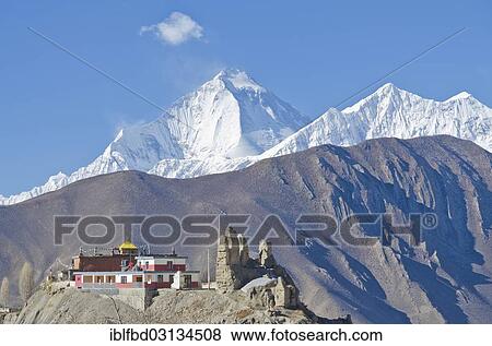 "Dhaulagiri Mountain, 8167 m, Jhong Gompa in the foreground, seen from Muktinath, Muktinath, Lower Mustang, Nepal, Asia" View Large Photo Image Stock Photo - "Dhaulagiri Mountain, 8167 m, Jhong Gompa in the foreground, seen from Muktinath, Muktinath, Lower Mustang, Nepal, Asia". Fotosearch