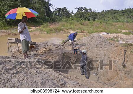 "Diamond hunters digging a pit with shovels, supervisor holding a parasol, left, near Koidu, Koidu-Sefadu, Kono District, Eastern Province, Sierra Leone, Africa" View Large Photo Image Picture - "Diamond hunters digging a pit with shovels, supervisor holding a parasol, left, near Koidu, Koidu-Sefadu, Kono District, Eastern Province, Sierra Leone, Africa". Fotosearch