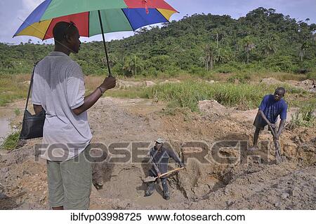 "Diamond hunters digging a pit with shovels, supervisor holding a parasol, left, near Koidu, Koidu-Sefadu, Kono District, Eastern Province, Sierra Leone, Africa" View Large Photo Image Stock Photography - "Diamond hunters digging a pit with shovels, supervisor holding a parasol, left, near Koidu, Koidu-Sefadu, Kono District, Eastern Province, Sierra Leone, Africa". Fotosearch