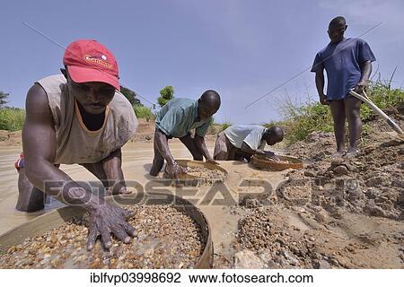 "Diamond hunters searching for diamonds in a mine with sieves and shovels, near Koidu, Koidu-Sefadu, Kono District, Eastern Province, Sierra Leone, Africa" View Large Photo Image Stock Image - "Diamond hunters searching for diamonds in a mine with sieves and shovels, near Koidu, Koidu-Sefadu, Kono District, Eastern Province, Sierra Leone, Africa". Fotosearch