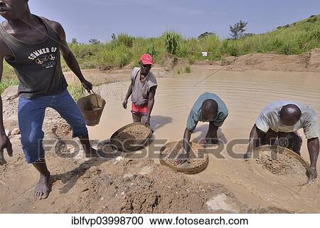"Diamond hunters searching for diamonds in a mine with sieves, near Koidu, Koidu-Sefadu, Kono District, Eastern Province, Sierra Leone, Africa" View Large Photo Image Stock Image - "Diamond hunters searching for diamonds in a mine with sieves, near Koidu, Koidu-Sefadu, Kono District, Eastern Province, Sierra Leone, Africa". Fotosearch