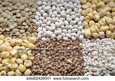 "Different types of legumes, lentils, white beans, chickpeas, pearl barley, buckwheat" View Large Photo Image Stock Image - "Different types of legumes, lentils, white beans, chickpeas, pearl barley, buckwheat". Fotosearch