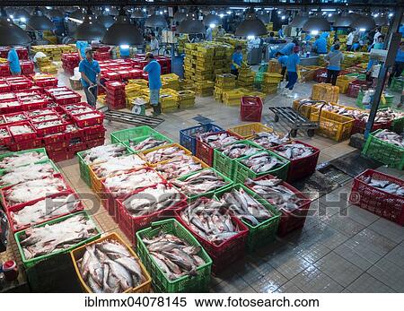 Stock Photography - "Different varieties of fish in plastic baskets with ice, central fish market, Ho Chi Minh City, Vietnam, Asia". Fotosearch