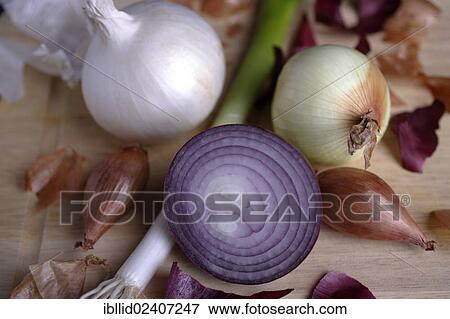 Different varieties of onions View Large Photo Image Stock Photo - Different varieties of onions. Fotosearch
