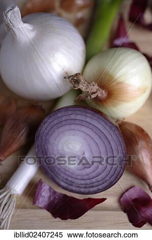 Stock Photography - Different varieties of onions. Fotosearch