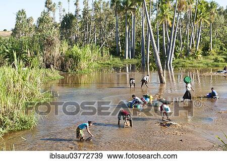 "Digging for sapphires, treasures of the soil, people with sieves panning in the river, Ilakaka, Madagascar, Africa" View Large Photo Image Stock Photo - "Digging for sapphires, treasures of the soil, people with sieves panning in the river, Ilakaka, Madagascar, Africa". Fotosearch