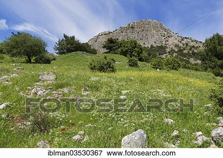 "Dilek Mountains, bei Priene, Gullubahce, Aydin province, Aegean region, Turkey, Asia" View Large Photo Image Stock Photo - "Dilek Mountains, bei Priene, Gullubahce, Aydin province, Aegean region, Turkey, Asia". Fotosearch