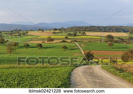 Dinkelberg mountain near Adelhausen, Rheinfelden - Baden, Baden-Wuerttemberg, Germany, Europe View Large Photo Image Stock Photo - Dinkelberg mountain near Adelhausen, Rheinfelden - Baden, Baden-Wuerttemberg, Germany, Europe. Fotosearch