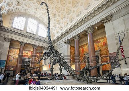 Stock Image - "Dinosaur skeleton, Metropolitan Museum of Art, Manhattan, New York, United States, North America". Fotosearch