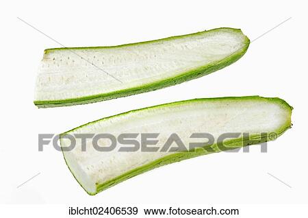 "Dishrag Gourd, Vegetable-sponge or Smooth Loofah (Luffa aegyptiaca, Luffa cylindrica), halved fruit" View Large Photo Image Stock Photo - "Dishrag Gourd, Vegetable-sponge or Smooth Loofah (Luffa aegyptiaca, Luffa cylindrica), halved fruit". Fotosearch