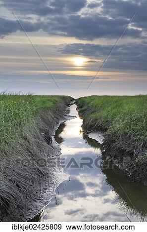 Stock Photo - "Ditch for the reclamation of land on the North Sea coast, Weser river marshland, Lower Saxony, Germany, Europe". Fotosearch