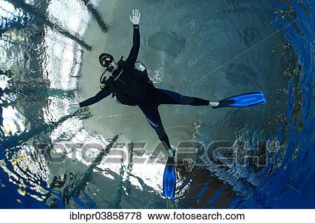 "Dive training, scuba diver with outstretched arms and legs, balancing, in a swimming pool, Nuremberg, Bavaria, Germany, Europe" View Large Photo Image Stock Photo - "Dive training, scuba diver with outstretched arms and legs, balancing, in a swimming pool, Nuremberg, Bavaria, Germany, Europe". Fotosearch