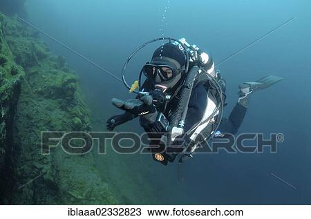 "Diver and Amphipod (Acanthogammarus victorii), Lake Baikal, Siberia, Russian Federation, Eurasia" View Large Photo Image Stock Image - "Diver and Amphipod (Acanthogammarus victorii), Lake Baikal, Siberia, Russian Federation, Eurasia". Fotosearch