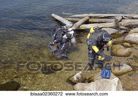 "Diver preparing to dive in Lake Baikal, Siberia, Russian Federation, Eurasia" View Large Photo Image Stock Image - "Diver preparing to dive in Lake Baikal, Siberia, Russian Federation, Eurasia". Fotosearch