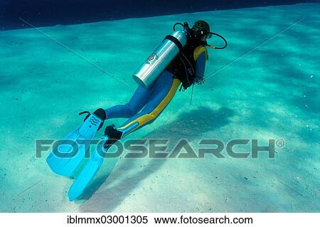 "Diver, South China Sea, Balnek, -, Busuanga Island, Calamian Islands, Palawan, Mimaropa, Philippines, Asia" View Large Photo Image Stock Photography - "Diver, South China Sea, Balnek, -, Busuanga Island, Calamian Islands, Palawan, Mimaropa, Philippines, Asia". Fotosearch