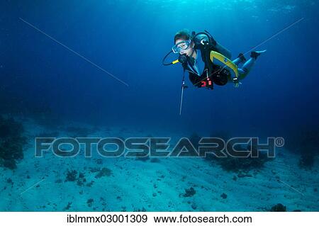 "Diver, South China Sea, Mulaong, -, Mimaropa, Philippines, Asia" View Large Photo Image Stock Photo - "Diver, South China Sea, Mulaong, -, Mimaropa, Philippines, Asia". Fotosearch