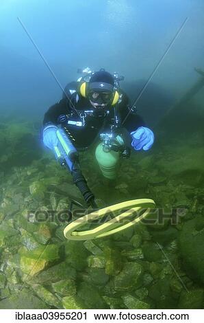 "Diver with metal detector searching for underwater treasure, Lake Baikal, Siberia, Russia, Europe" View Large Photo Image Stock Image - "Diver with metal detector searching for underwater treasure, Lake Baikal, Siberia, Russia, Europe". Fotosearch