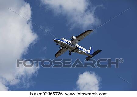 "DO 228 of the German Air Force for Pollution Control on the North Sea and Baltic Sea, Germany, Europe" View Large Photo Image Stock Photograph - "DO 228 of the German Air Force for Pollution Control on the North Sea and Baltic Sea, Germany, Europe". Fotosearch