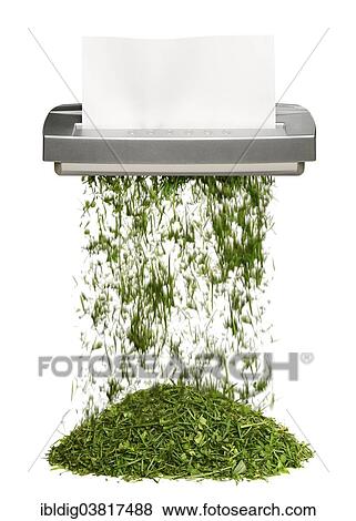Document shredder turning paper into grass View Large Photo Image Stock Photo - Document shredder turning paper into grass. Fotosearch