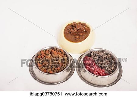 "Dog bowls with wet food, dry food and with two kinds of raw meat, raw feeding BARF food, diet" View Large Photo Image Stock Image - "Dog bowls with wet food, dry food and with two kinds of raw meat, raw feeding BARF food, diet". Fotosearch
