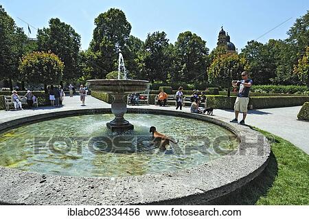 "Dog in a fountain, Hofgarten, Munich, Bavaria, Germany, Europe" View Large Photo Image Stock Photograph - "Dog in a fountain, Hofgarten, Munich, Bavaria, Germany, Europe". Fotosearch