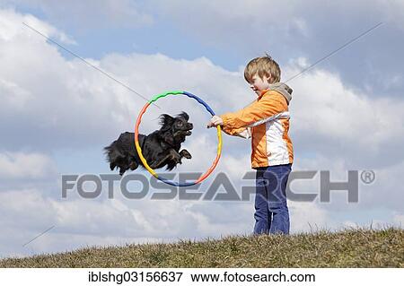 "Dog jumping through a hoop held by a boy, Germany, Europe" View Large Photo Image Stock Photo - "Dog jumping through a hoop held by a boy, Germany, Europe". Fotosearch