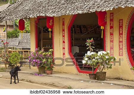 "Dog standing outside a tea shop in a village of the Chinese minority on the border with Myanmar, Ban Rak Thai or Mae Aw, Northern Thailand, Thailand, Asia" View Large Photo Image Stock Photo - "Dog standing outside a tea shop in a village of the Chinese minority on the border with Myanmar, Ban Rak Thai or Mae Aw, Northern Thailand, Thailand, Asia". Fotosearch
