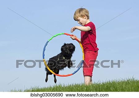 "Dog training, boy letting a dog jump through a hoop, Wilhelmsburg, Hamburg, Hamburg, Germany, Europe" View Large Photo Image Stock Image - "Dog training, boy letting a dog jump through a hoop, Wilhelmsburg, Hamburg, Hamburg, Germany, Europe". Fotosearch